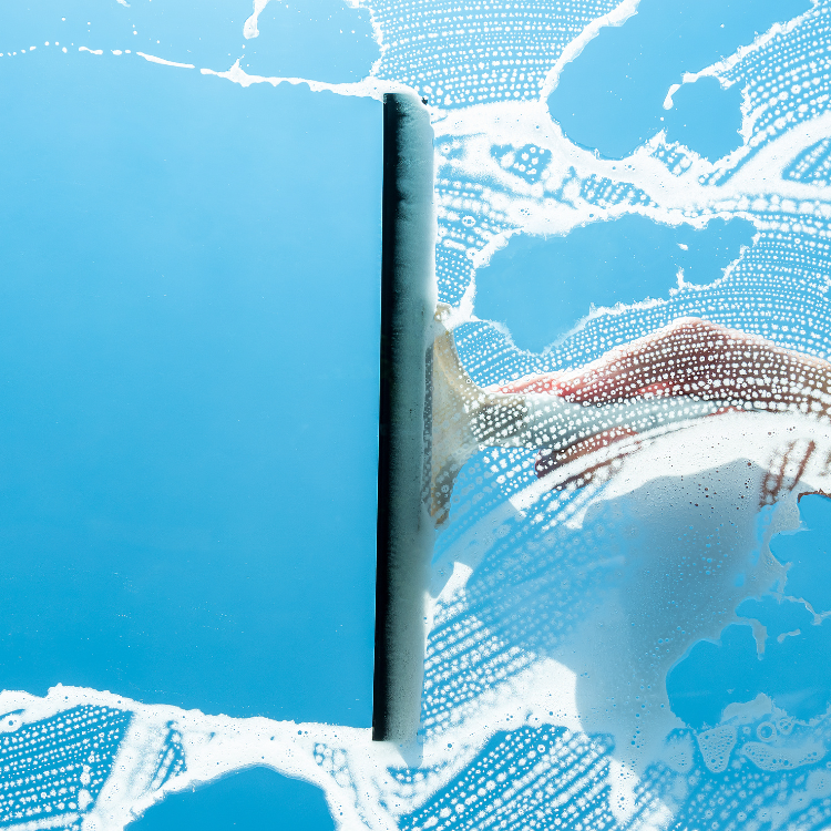 Window Cleaning in Malibu, CA